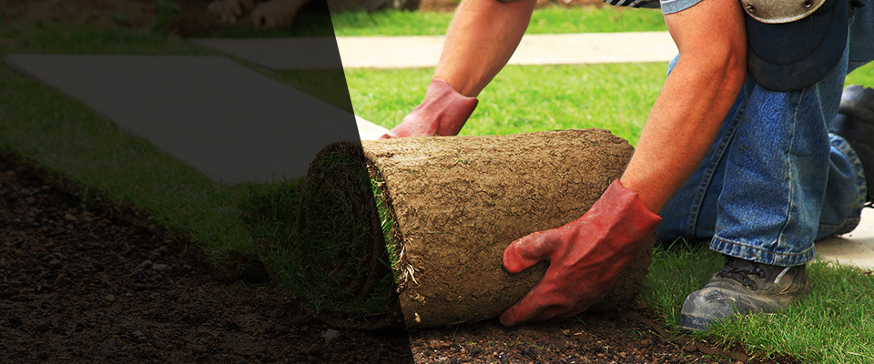 Prairie Grove Landscapers